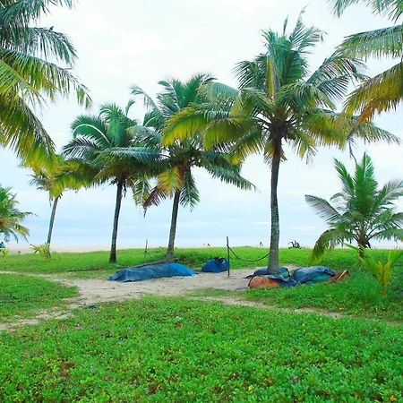 Marari Nest Beach Homestay 马拉利库兰 外观 照片