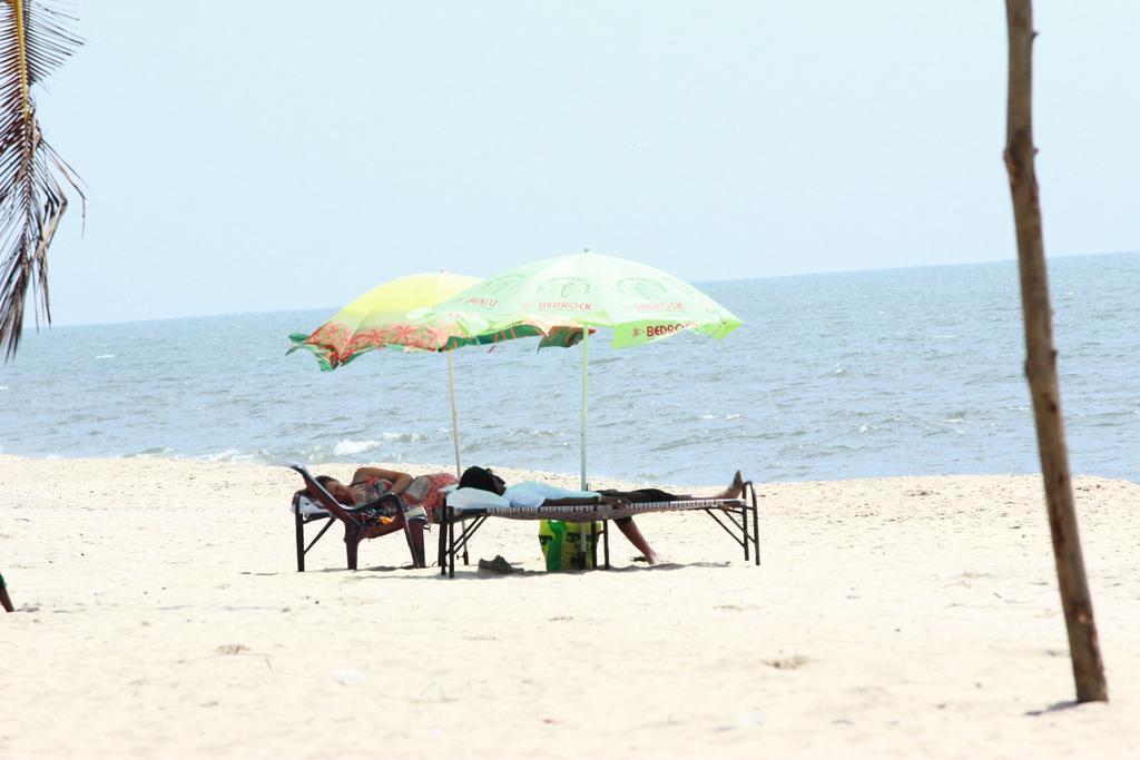 Marari Nest Beach Homestay 马拉利库兰 外观 照片