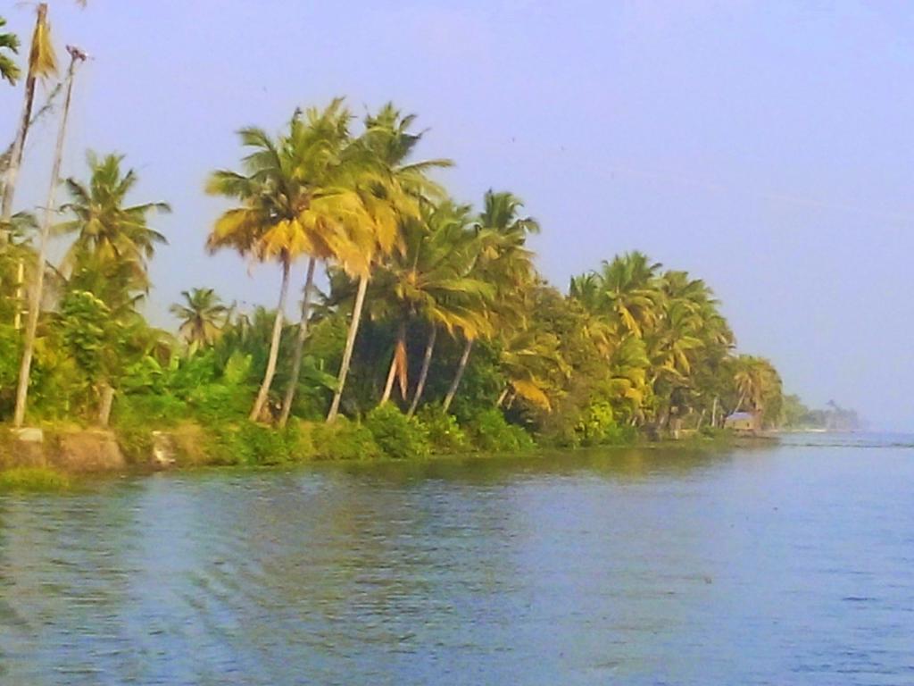 Marari Nest Beach Homestay 马拉利库兰 外观 照片